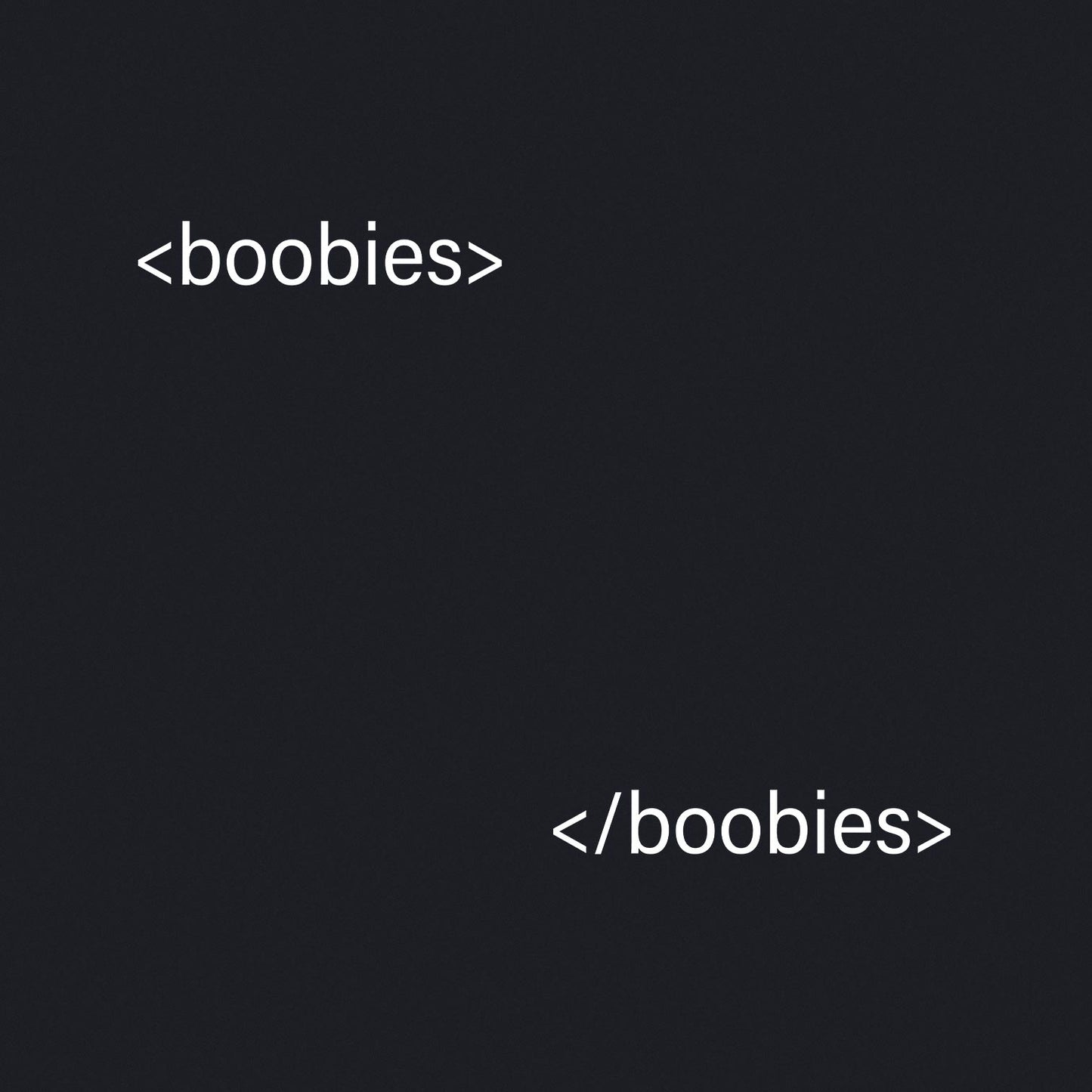 HTML Boobies - Classic Womens T-shirt - Bleak Shirt