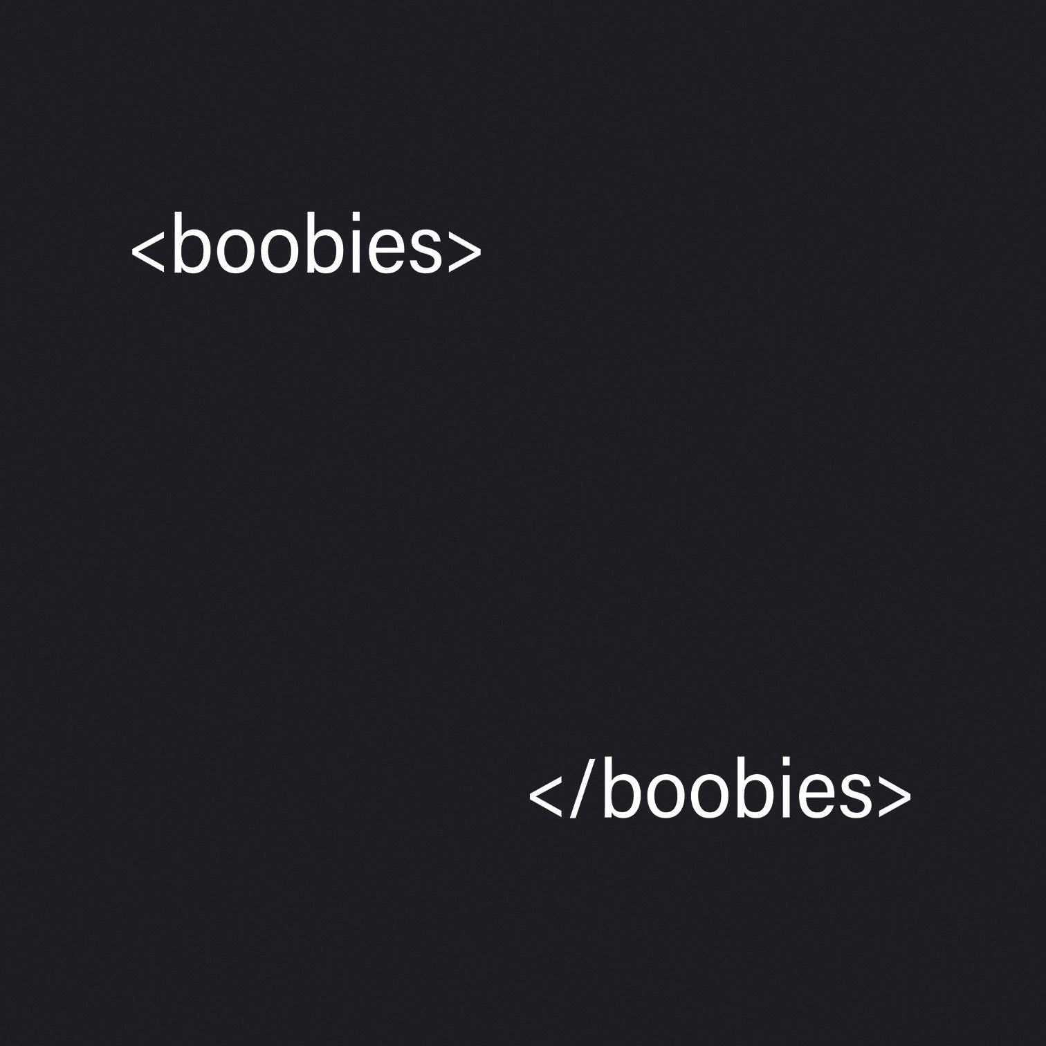 HTML Boobies - Classic Womens T-shirt - Bleak Shirt